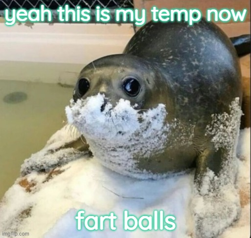 la cocaina | yeah this is my temp now; fart balls | image tagged in la cocaina | made w/ Imgflip meme maker