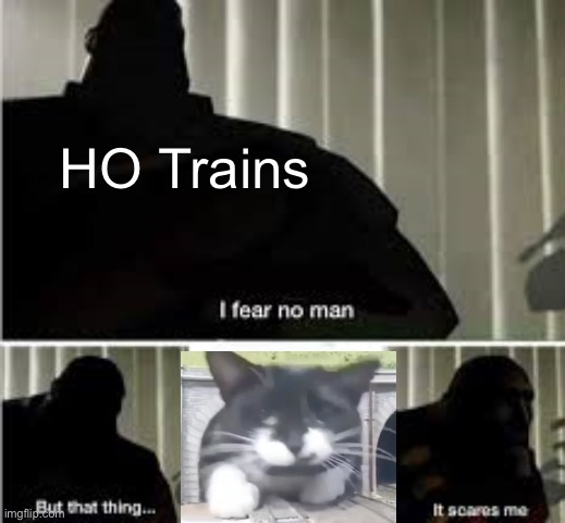 It’s the truth | HO Trains | image tagged in i fear no man,memes,cats,trains | made w/ Imgflip meme maker