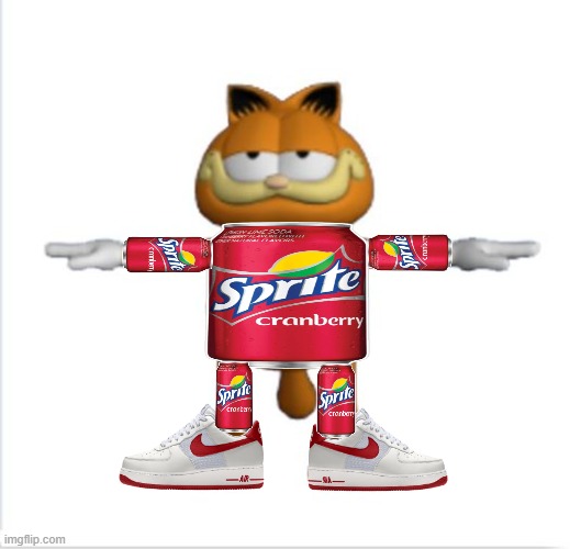 garfield t-pose | image tagged in garfield t-pose | made w/ Imgflip meme maker