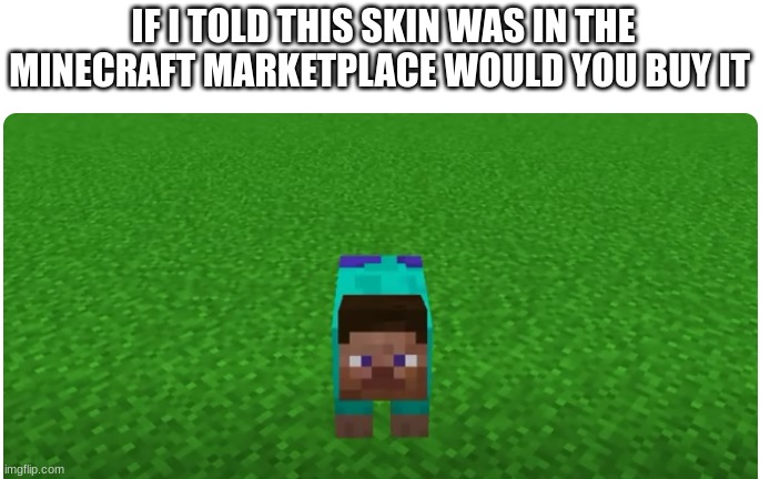 EeEeE | IF I TOLD THIS SKIN WAS IN THE MINECRAFT MARKETPLACE WOULD YOU BUY IT | image tagged in memes,minecraft,minecraft movie,i am steve | made w/ Imgflip meme maker