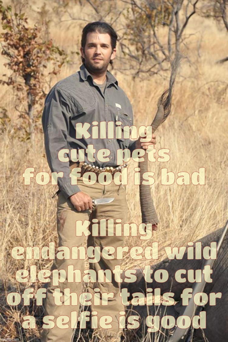 They're eating their own scat | Killing cute pets for food is bad; Killing endangered wild elephants to cut off their tails for
a selfie is good | image tagged in donald trump jr elephant tail | made w/ Imgflip meme maker