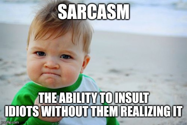 Sarcasm | SARCASM; THE ABILITY TO INSULT IDIOTS WITHOUT THEM REALIZING IT | image tagged in memes,success kid original,funny,funny memes,fun,sarcasm | made w/ Imgflip meme maker