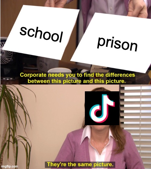 the tiktok community | school; prison | image tagged in memes,they're the same picture | made w/ Imgflip meme maker