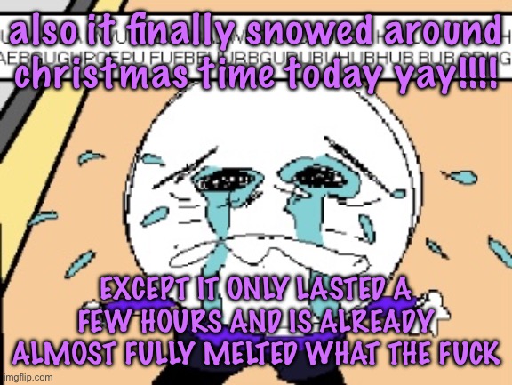 can’t have shit in Massachusetts bro | also it finally snowed around christmas time today yay!!!! EXCEPT IT ONLY LASTED A FEW HOURS AND IS ALREADY ALMOST FULLY MELTED WHAT THE FUCK | image tagged in protagonist crying,cinnabox announcement | made w/ Imgflip meme maker