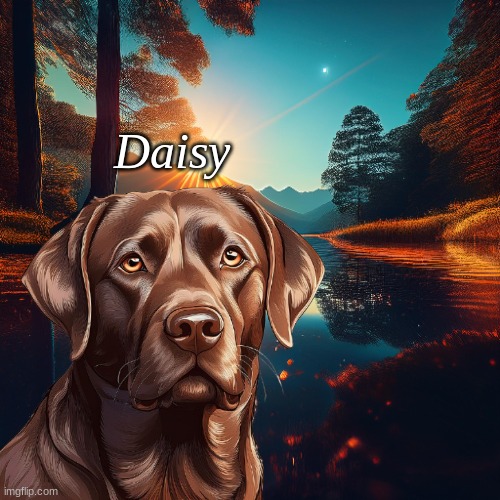 Daisy | made w/ Imgflip meme maker