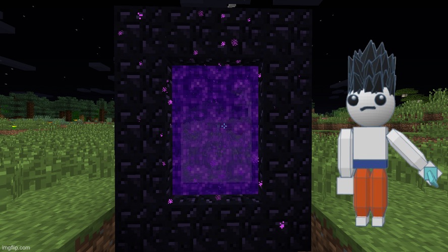 Nether Portal | image tagged in nether portal | made w/ Imgflip meme maker