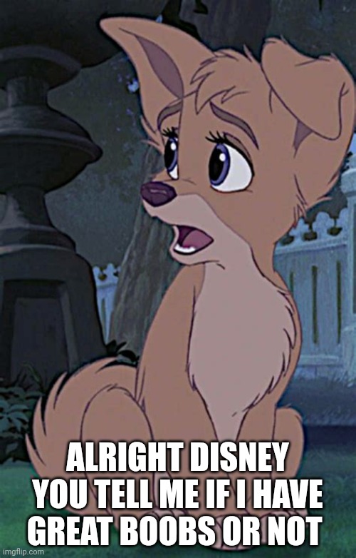 Alright Disney You Tell Me If I Have Great Boobs Or Not | ALRIGHT DISNEY YOU TELL ME IF I HAVE GREAT BOOBS OR NOT | image tagged in lady and the tramp 2 angel,alyssa milano,disney dogs,disney,dogs | made w/ Imgflip meme maker