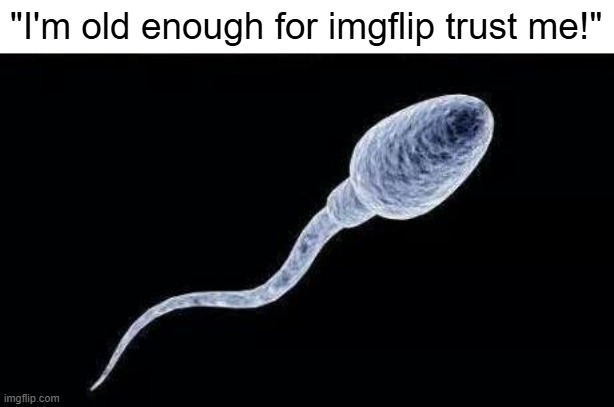 MSMG slander #15 | "I'm old enough for imgflip trust me!" | image tagged in da sperm | made w/ Imgflip meme maker