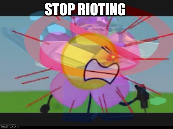 STOP RIOTING | made w/ Imgflip meme maker