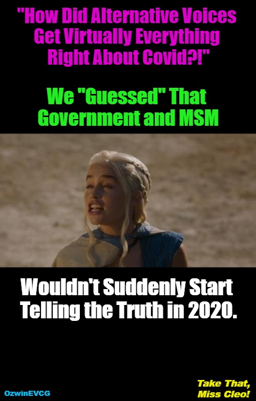 Take That, Miss Cleo! | "How Did Alternative Voices 

Get Virtually Everything 

Right About Covid?!"; We "Guessed" That 

Government and MSM; Wouldn't Suddenly Start 

Telling the Truth in 2020. Take That, 

Miss Cleo! OzwinEVCG | image tagged in alt-media,government corruption,msm lies,brave coof world,pattern recognition,goldfish memories | made w/ Imgflip meme maker