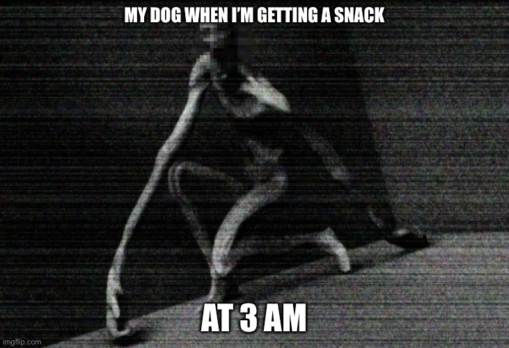 Is it relatable | MY DOG WHEN I’M GETTING A SNACK; AT 3 AM | image tagged in scp 096,scp,meme,why are you reading the tags | made w/ Imgflip meme maker