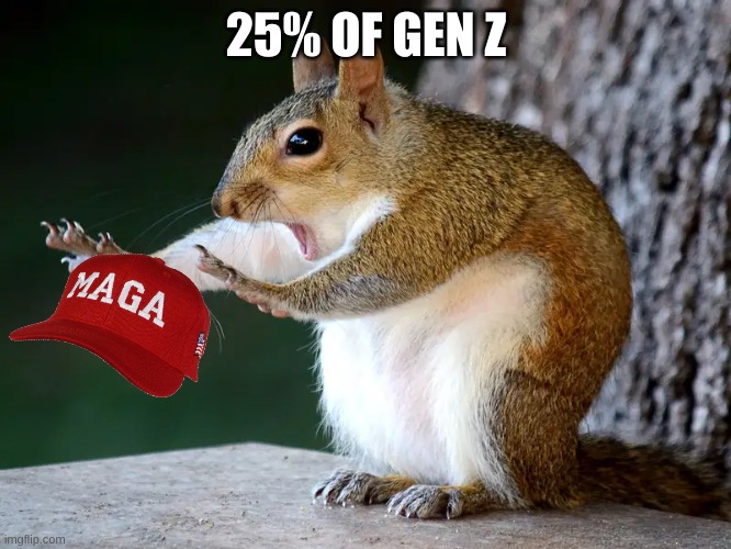 man this is not even funny | 25% OF GEN Z | image tagged in squarl,your mom | made w/ Imgflip meme maker