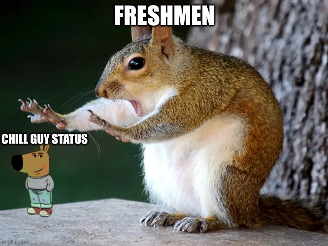 YUP | FRESHMEN; CHILL GUY STATUS | image tagged in chill guy,squarl | made w/ Imgflip meme maker