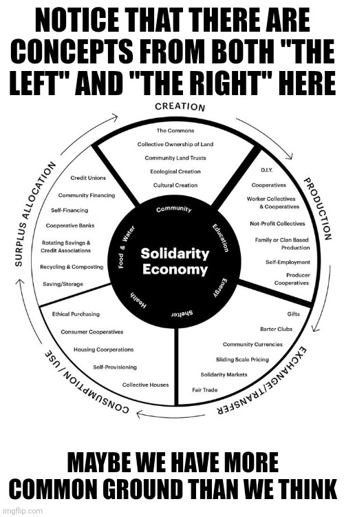 NOTICE THAT THERE ARE CONCEPTS FROM BOTH "THE LEFT" AND "THE RIGHT" HERE; MAYBE WE HAVE MORE COMMON GROUND THAN WE THINK | image tagged in solidarity,nonviolent revolution,economics,breakdown of the left-right paradigm | made w/ Imgflip meme maker