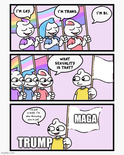 MAHA stands for Make America Horrible Again | I’m just a male. I’m also throwing you in jail. MAGA; TRUMP | image tagged in what sexuality is that | made w/ Imgflip meme maker