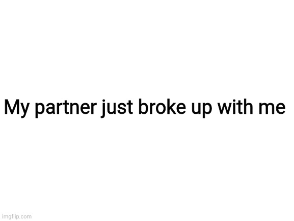 Blank White Template | My partner just broke up with me | image tagged in blank white template | made w/ Imgflip meme maker