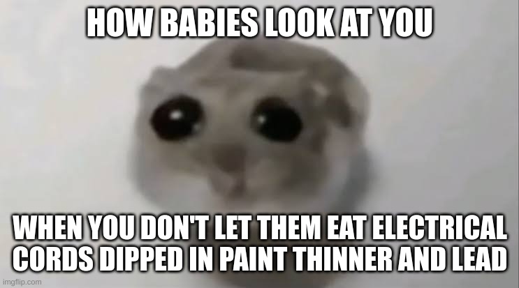 hamster | HOW BABIES LOOK AT YOU; WHEN YOU DON'T LET THEM EAT ELECTRICAL CORDS DIPPED IN PAINT THINNER AND LEAD | image tagged in sad hamster | made w/ Imgflip meme maker