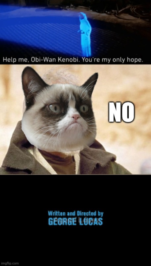 How It Should Have Ended | image tagged in written and directed by george lucas,star wars no,the end,obi wan kenobi,grumpy cat | made w/ Imgflip meme maker