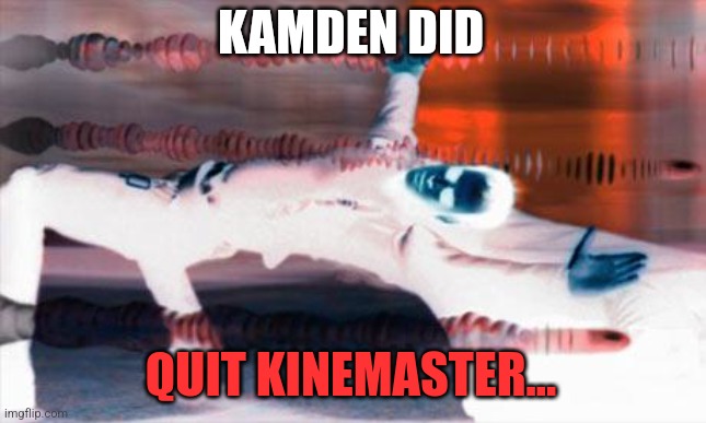 Matrix dodge | KAMDEN DID; QUIT KINEMASTER... | image tagged in matrix dodge | made w/ Imgflip meme maker