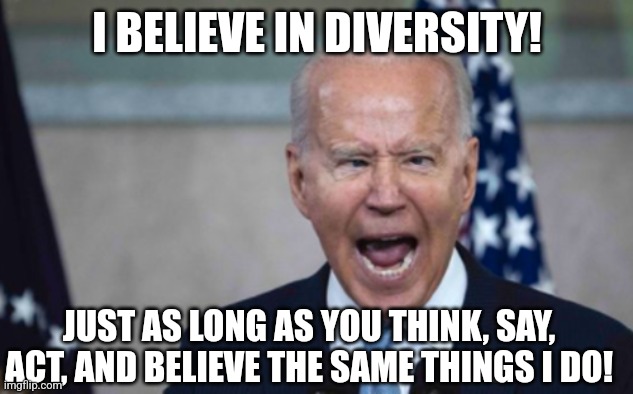 Funny how Democrat's definition of diversity is ANYTHING but diverse? | I BELIEVE IN DIVERSITY! JUST AS LONG AS YOU THINK, SAY, ACT, AND BELIEVE THE SAME THINGS I DO! | image tagged in biden scream,diversity,words of wisdom,liberal logic,brainwashing,biased media | made w/ Imgflip meme maker