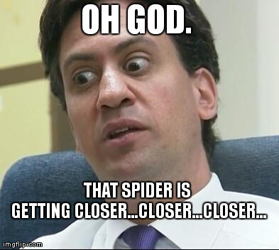 OH GOD. THAT SPIDER IS GETTING CLOSER...CLOSER...CLOSER... | image tagged in spiders | made w/ Imgflip meme maker