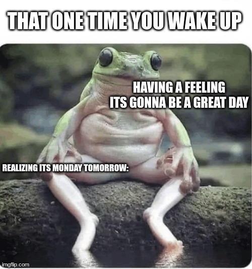 Monday | THAT ONE TIME YOU WAKE UP; HAVING A FEELING ITS GONNA BE A GREAT DAY; REALIZING ITS MONDAY TOMORROW: | image tagged in school | made w/ Imgflip meme maker