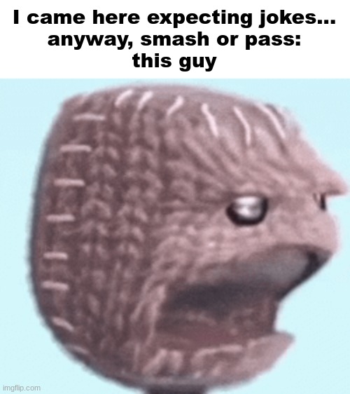 sackboy | I came here expecting jokes...
anyway, smash or pass:
this guy | image tagged in sackboy | made w/ Imgflip meme maker