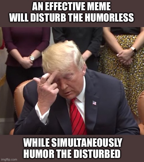 Humor the disturbed | AN EFFECTIVE MEME WILL DISTURB THE HUMORLESS; WHILE SIMULTANEOUSLY HUMOR THE DISTURBED | image tagged in donald trump,republicans,democrats,leftist logic | made w/ Imgflip meme maker