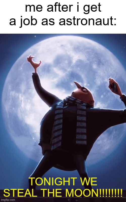 ok | me after i get a job as astronaut:; TONIGHT WE STEAL THE MOON!!!!!!!! | image tagged in tonight we steal the moon,fun | made w/ Imgflip meme maker