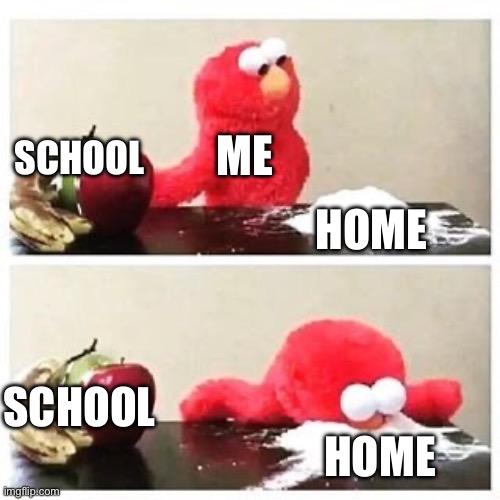 The boyz will back me up on this one | ME; SCHOOL; HOME; SCHOOL; HOME | image tagged in elmo cocaine | made w/ Imgflip meme maker