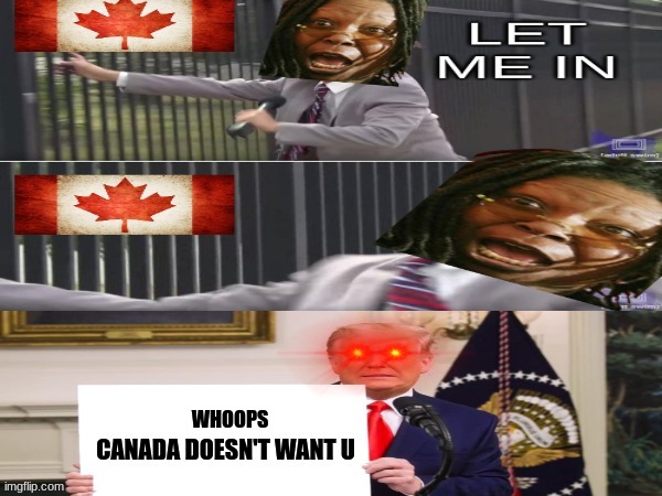 Whoopi Goldberg meme | WHOOPS | image tagged in memes,whoopi goldberg,trump,maga,woke,canada | made w/ Imgflip meme maker