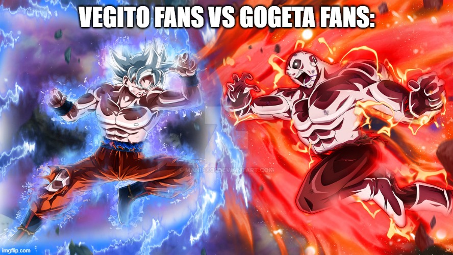 the ultimate battle | VEGITO FANS VS GOGETA FANS: | image tagged in versus,funny,goku,dbz,why are you reading the tags | made w/ Imgflip meme maker