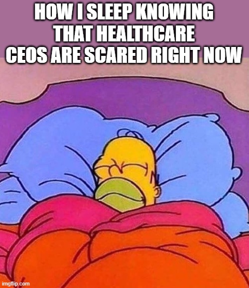 United Healthcare | HOW I SLEEP KNOWING THAT HEALTHCARE CEOS ARE SCARED RIGHT NOW | image tagged in homer simpson sleeping peacefully,united healthcare | made w/ Imgflip meme maker