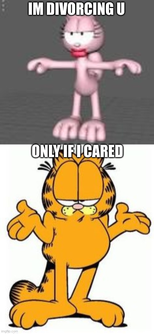 bruh | IM DIVORCING U; ONLY IF I CARED | image tagged in arlene t pose,garfield shrug | made w/ Imgflip meme maker