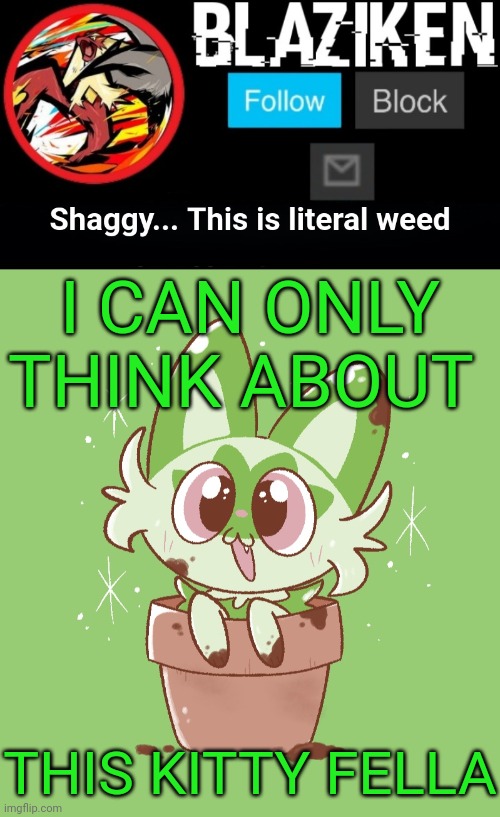 Sprigy!!! | I CAN ONLY THINK ABOUT; THIS KITTY FELLA | image tagged in blaziken sprigatito temp | made w/ Imgflip meme maker