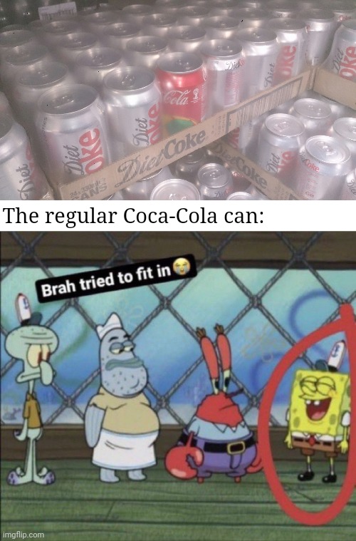 Coke | The regular Coca-Cola can: | image tagged in brah tried to fit in,diet coke,coca-cola,coke,you had one job,memes | made w/ Imgflip meme maker