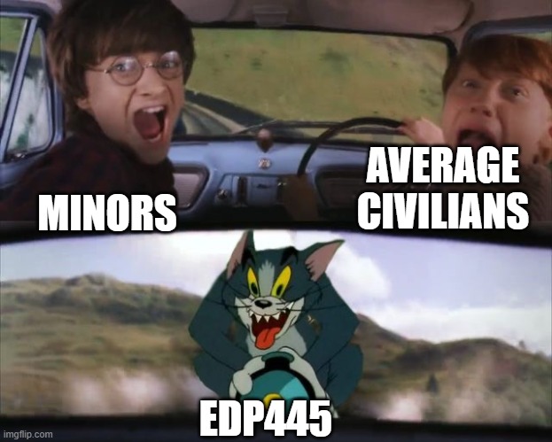 meme | AVERAGE CIVILIANS; MINORS; EDP445 | image tagged in tom chasing harry and ron weasly | made w/ Imgflip meme maker