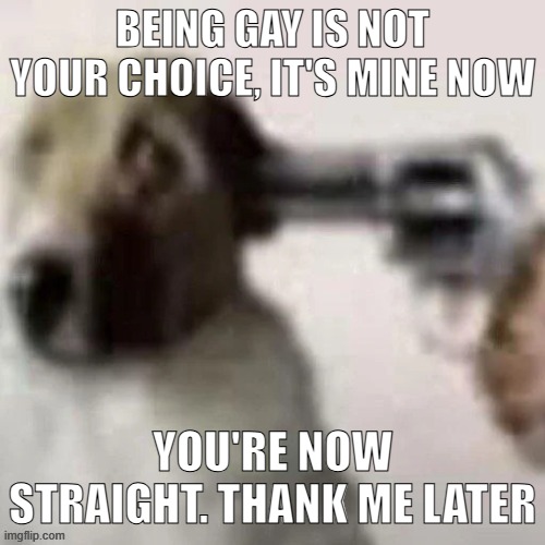 dog gunpoint | BEING GAY IS NOT YOUR CHOICE, IT'S MINE NOW; YOU'RE NOW STRAIGHT. THANK ME LATER | image tagged in dog gunpoint | made w/ Imgflip meme maker