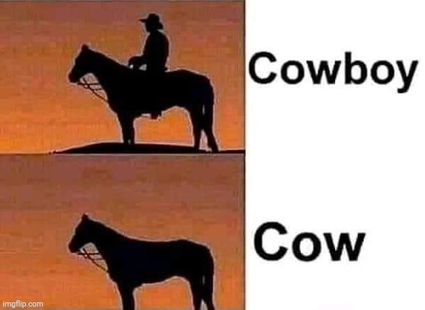 Cow and boy | image tagged in cow,boy,cowboy,reposts,repost,memes | made w/ Imgflip meme maker