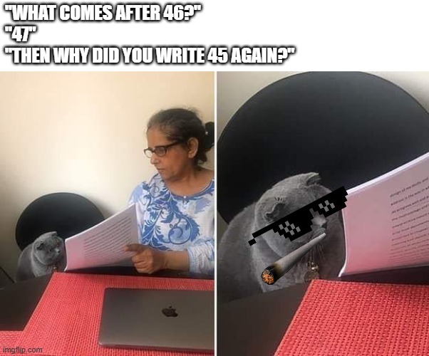 I haven't put this much effort into any meme in a long time | "WHAT COMES AFTER 46?"
"47"
"THEN WHY DID YOU WRITE 45 AGAIN?" | image tagged in woman showing paper to cat,memes,election 2024,donald trump,45/47 | made w/ Imgflip meme maker