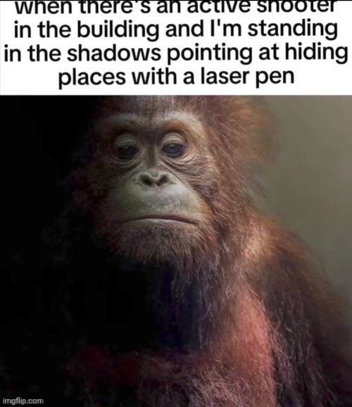 Laser pen | image tagged in laser pen,laser,pen,reposts,repost,memes | made w/ Imgflip meme maker