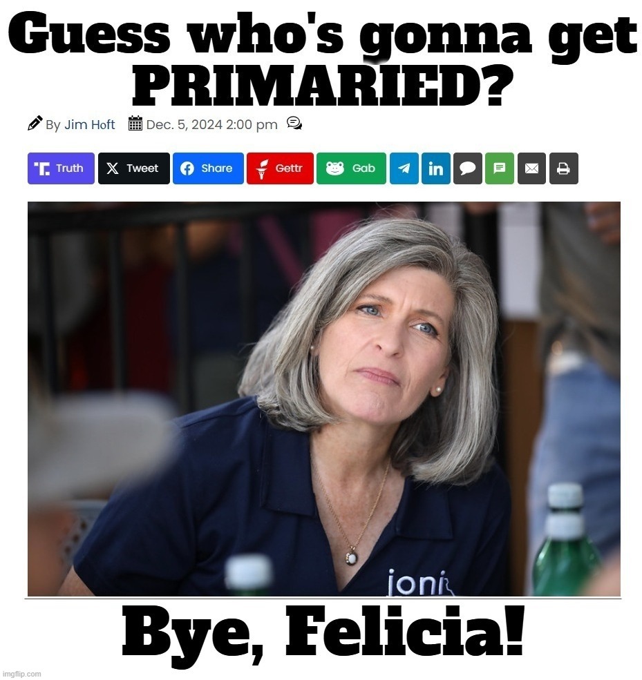 Idiot Out Wandering Around | image tagged in joni ernst,iowa,idiots out wandering around,bye felicia,primary,trump nominations | made w/ Imgflip meme maker