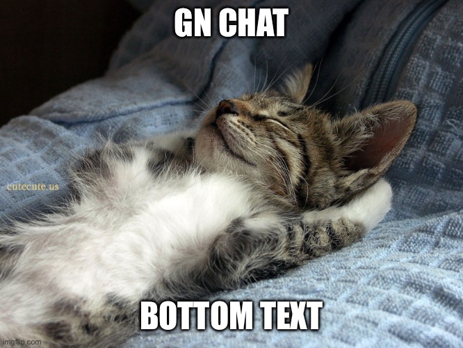 I'm tired so I'm going to eep | GN CHAT; BOTTOM TEXT | image tagged in sleeping cat | made w/ Imgflip meme maker