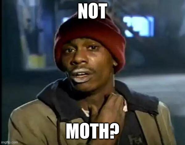 not moth? | NOT; MOTH? | image tagged in not,moth | made w/ Imgflip meme maker