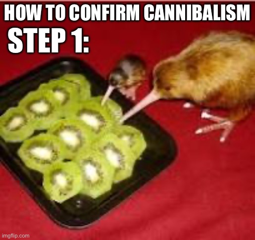 hell teah | HOW TO CONFIRM CANNIBALISM; STEP 1: | image tagged in kiwi,memes,funny | made w/ Imgflip meme maker