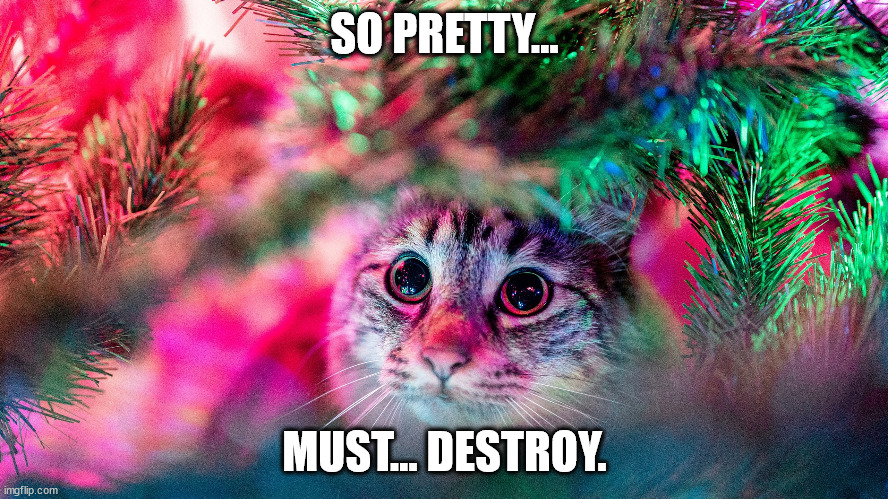 So Pretty... | SO PRETTY... MUST... DESTROY. | image tagged in holiday | made w/ Imgflip meme maker