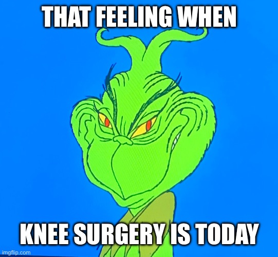 I was watching the original grinch when I saw the idea to make this | THAT FEELING WHEN; KNEE SURGERY IS TODAY | image tagged in the grinch,blue grinch,memes,why does this exist | made w/ Imgflip meme maker