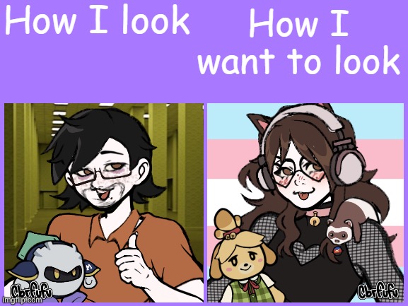 I'm feeling SUPER dysphoric rn omg | image tagged in how i look vs how i want to look | made w/ Imgflip meme maker