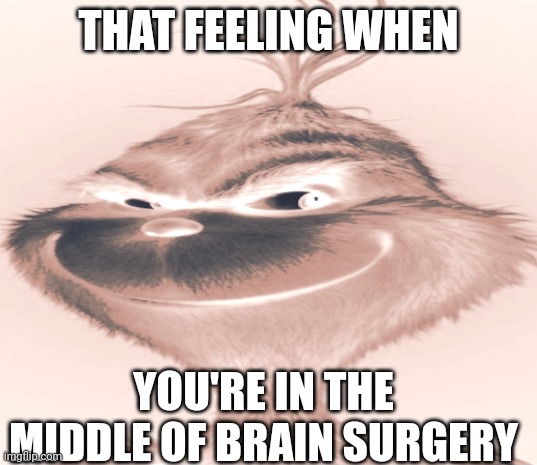 Blue Grinch | THAT FEELING WHEN; YOU'RE IN THE MIDDLE OF BRAIN SURGERY | image tagged in blue grinch | made w/ Imgflip meme maker