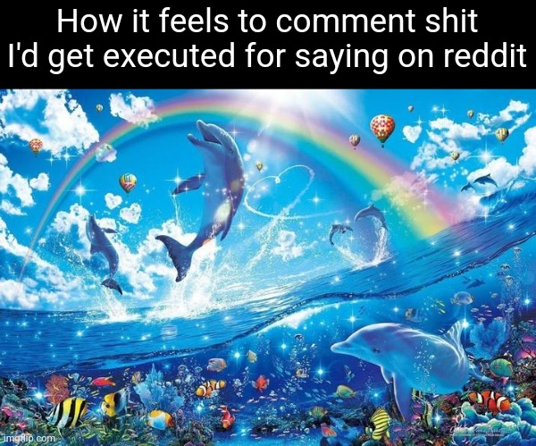 Happy dolphin rainbow | How it feels to comment shit I'd get executed for saying on reddit | image tagged in happy dolphin rainbow | made w/ Imgflip meme maker